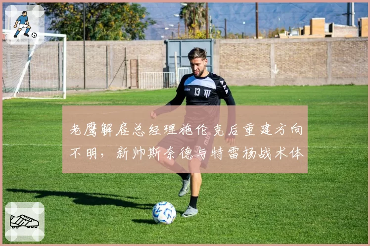 老鹰解雇总经理施伦克后重建方向不明，新帅斯奈德与特雷杨战术体系矛盾激化