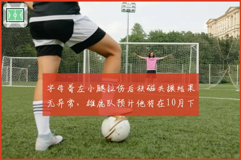 字母哥左小腿拉伤后核磁共振结果无异常，雄鹿队预计他将在10月下旬复出