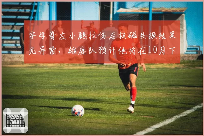 字母哥左小腿拉伤后核磁共振结果无异常，雄鹿队预计他将在10月下旬复出