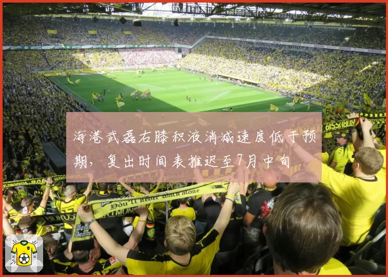 海港武磊右膝积液消减速度低于预期，复出时间表推迟至7月中旬
